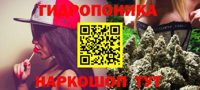 дмт Краснодар