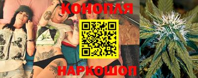 дмт Краснодар