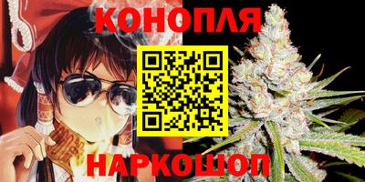 гидропоника Краснознаменск