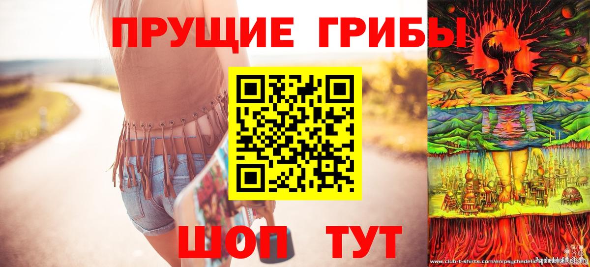Волгоград  Галлюциногенные грибы Psilocybine cubensis  Вход с VPN 