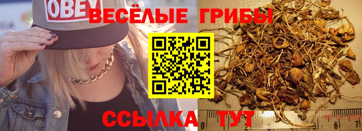 Галлюциногенные грибы мухоморы Волгоград
